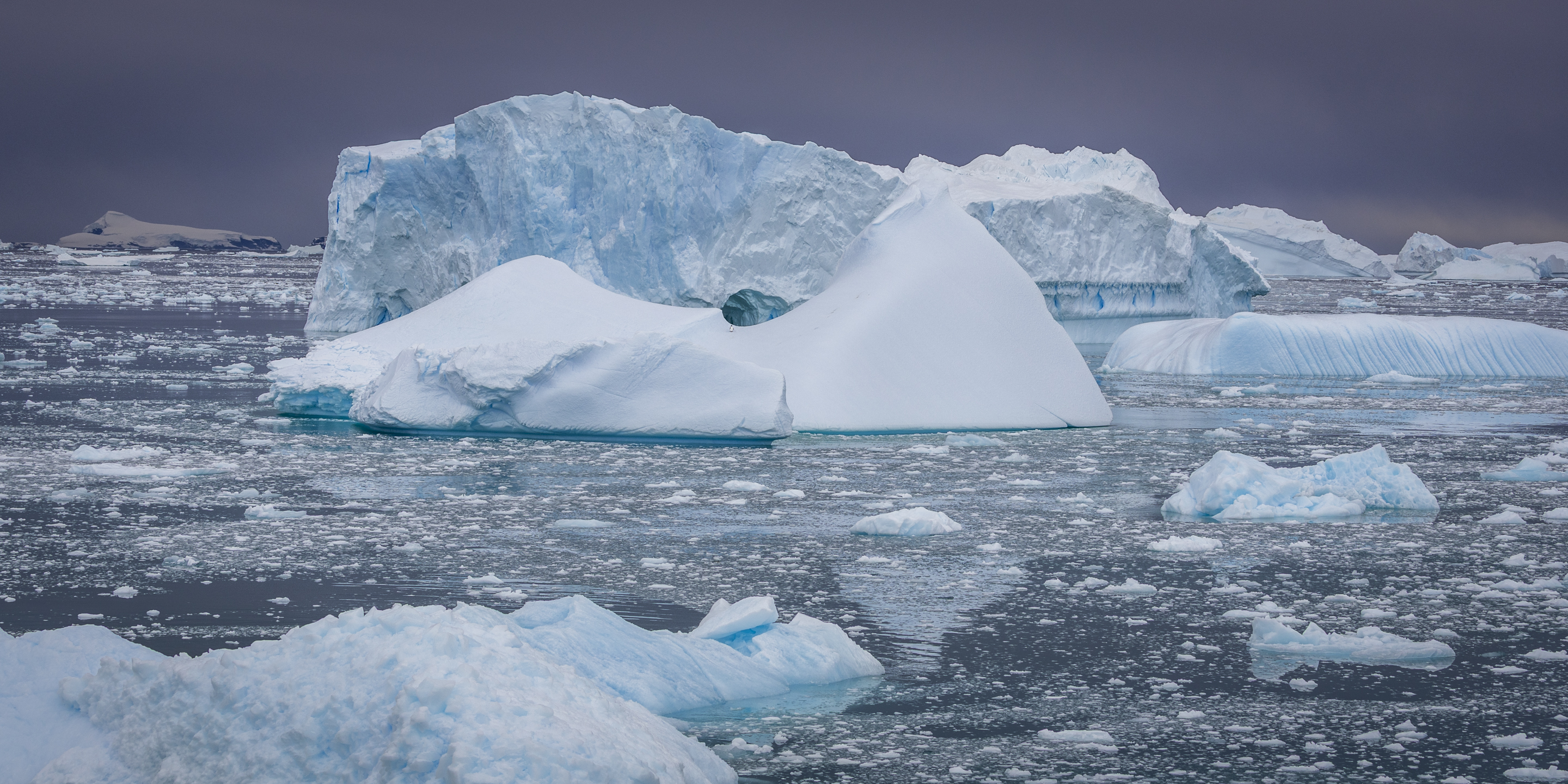 3rd PrizeMulti-Scape In Class 3 By Warren Bouton For One Lonely Penguin JAN-2026.jpg